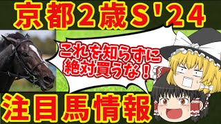 【京都2歳S】クラシック戦線候補の好メンバーが揃う！！知らないと損をする注目馬の情報！！