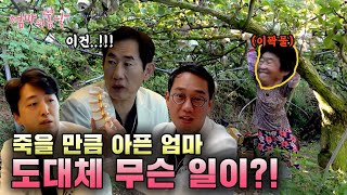 [엄마의 봄날 474화] 죽을 만큼 통증이 심한 순자 엄마에게 도대체 무슨 일이?!