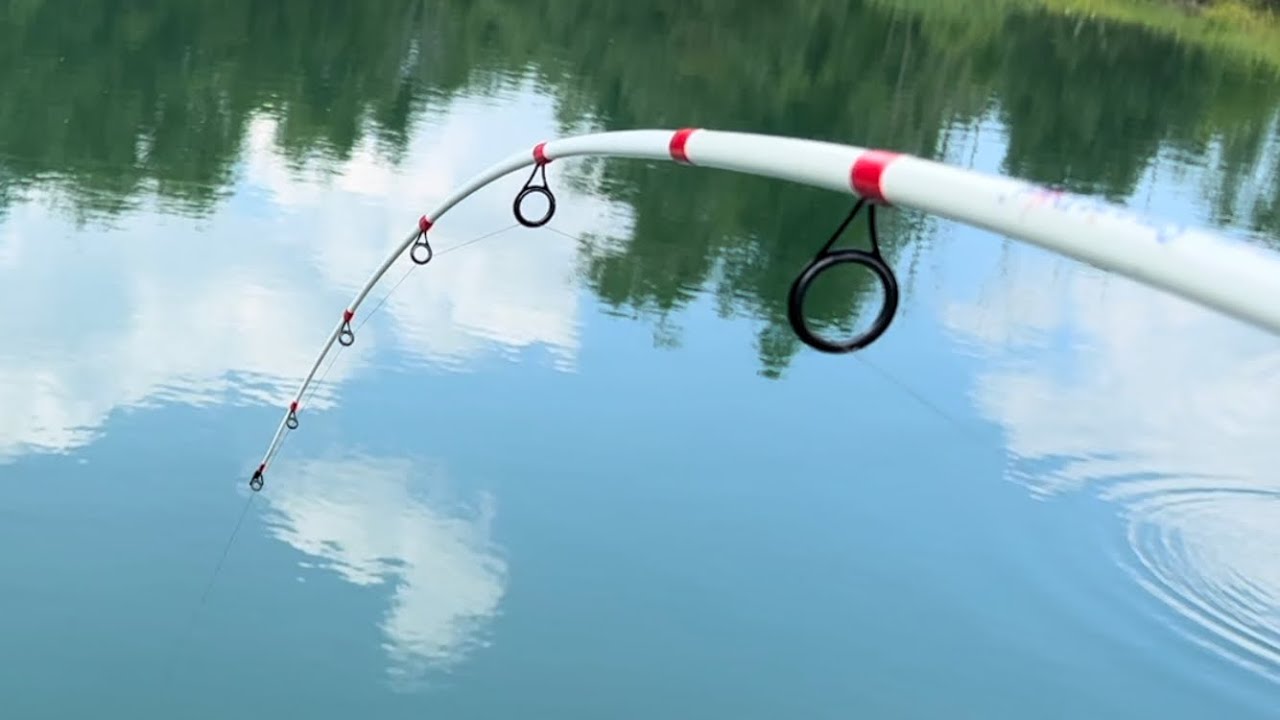 Monster Snapping Turtle Youtube