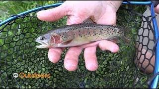 Fishing the Utah Cutthroat Slam in a Day