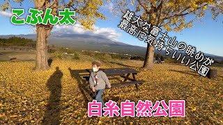 雄大な富士山の眺めが最高に気持ちいい白糸自然公園で遊んだよ