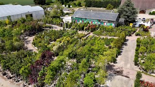 Nursery, tree, shrub, fruit tree, plant, flower, olive tree, palm tree: PEPINIERE DE MEAUX