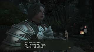 【FF14】さにすとの冒険　新生編 #28