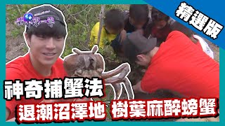 【西帝汶】怪招抓蟹神童 樹葉麻醉捕蟹法｜《世界第一等》712集精華版