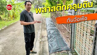 รีวิวพลาสติกคลุมดิน ผ้าคลุมดินกันวัชพืช ใช้ง่าย ใช้ดี ใช้ทน ไม่ต้องเหนื่อยตัดหญ้า