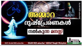 അമ്മാറ | ദുഷ്പ്രേരണകൾ നൽകുന്ന മനസ്സ് | Sufi Thought Malayalam | islamic speech Malayalam