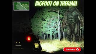 BIGFOOT Caught on THERMAL Camera!