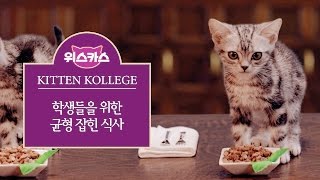 [Ep.3] 학생들을 위한 균형 잡힌 식사 | 위스카스 키튼 칼리지