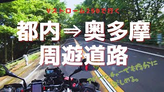 #Vストローム250#奥多摩周遊道路#道の駅たばやま☆Vストローム250で行く☆都内から奥多摩周遊道路・道の駅たばやま☆日帰りツーリング