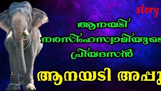 ആനയടി അപ്പു |aanayadi appu|story|#2023 #aana #aanapremi #pooram