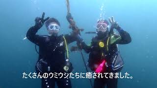 ウミウシの宝庫、浮島でダイビング　初めてのドライスーツは講習で空気の出し入れを練習しましょう　群馬県伊勢崎市のダイビングショップ、スクール