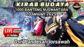 🔴Live KIRAB BUDAYA 1000 BANTENG NUSWANTARA Dsn pandesari lor sawah 20Januari 2025