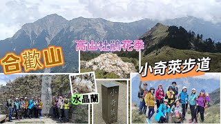 合歡山 小奇萊步道 高山杜鵑花季 2024/05/07