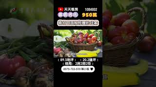 嘉義義竹透天｜950萬｜89.3地坪｜2房2廳2衛｜☎️ 0979-703-970陳俊夏 小姐｜天天看房｜房地產｜不動產｜建物｜住宅｜房屋買賣｜大樓｜透天｜店面｜別墅｜買房｜義竹田園風輕屋齡美住家｜