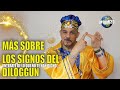 Más signos del Diloggun, El Oráculo adivinatorio perteneciente a la Religión Yoruba.