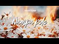 Hanstone - Nampa Pole ( Official Audio )