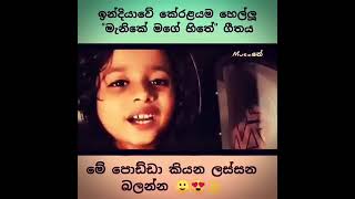 Manike Mage Hithe Little Girl Version | මැණිකේ මගේ හිතේ | Malayan Version | Yohani & Satheeshan