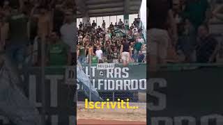 Ultras Castelfidardo in casa contro la Vigor 2024-25.