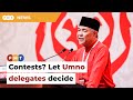 Up to Umno delegates, says Zahid on contests for top 2 posts