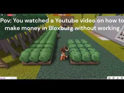 Pov: You Watched A Video On How To Earn Money In Bloxburg Without ...