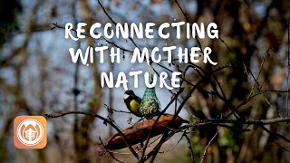 Reconnecting with Mother Nature | Sister True Dedication (Sister Hiến Nghiêm)