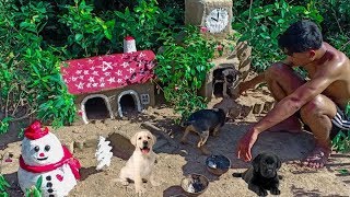 Build Idea Team: Build Muddy House For Rescue Abandoned Starving Puppies, Happy Mary Christmas
