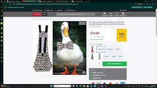 Duck Video Compression MatLab Program Showcase