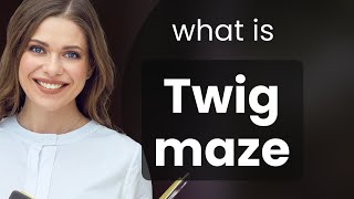 Untangling the Meaning of "Twig Maze"