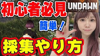 【アンドーン】欲しい素材を手に入れる！採集ポイントの探し方とコツ【UNDAWN】