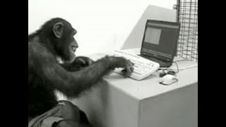 Delphi - For Statement Tables