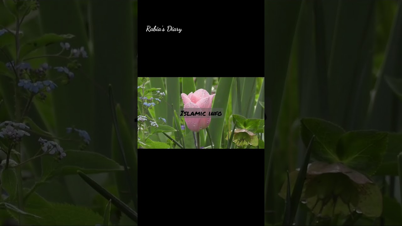 Islamic Info Real Name Of Prophet Muhammad S A W Grand Father