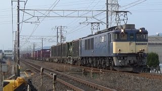 2016.3.5　ef200代走の5073レ、ef64国鉄色の2070レなど　岐阜～木曽川にて