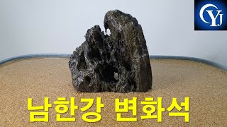 남한강 변화석 지금실시간방송 수석경매 수석경매장 최고의수석 명품수석 수석고르는법 백억수석경매