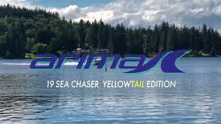 Arima Sea Chaser - Yellowtail Edition Water Test