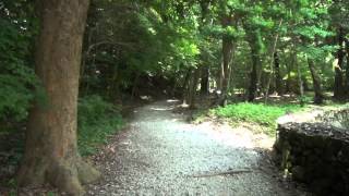 ながさき島ステーション　神話の里　和多都美神社