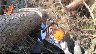 Holzfällen mit Stihl 400 C