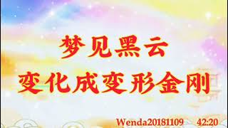 卢台长开示：梦见黑云变化成变形金刚Wenda20181109   42:20