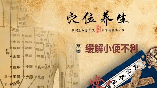 经络穴位养生 - 水道穴 - 缓解小便不利