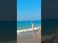 🇹🇷beautiful day at antalya beach turkey 27 antalya beach turkey