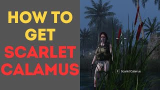 How to Get Scarlet Calamus in Once Human