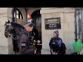 Karen Returns Armed police have had enough no ones allowed to touch the Horse  part 10