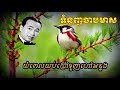 ទំនួញចាបមាស