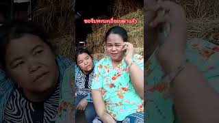 #ขอจีบผู้เฒ่าพะนะเอื่อยเฒ่าแล้วจีบบ่ได้ดอก#คลายเครียด #ตลกฮาๆ #funny #comedy #pov #ยำๆพาเที่ยวพากิน