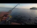 japanese pink salmon fishing