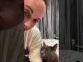 Cat Snuggles with Owner and Demands Pets