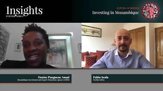 Investing in Mozambique - FurtherAfrica Insights (COVID19 series)