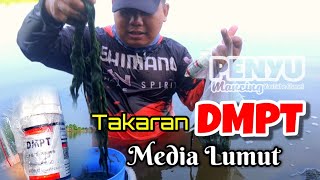 CARA PAKAI UMPAN DMPT MEDIA LUMUT || TARGET IKAN NILA DI WADUK DUKUH AGUNG