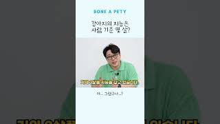 강아지의 지능은 사람 기준 몇 살 정도일까요?