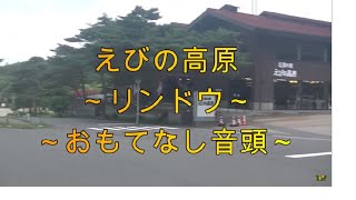 【えびの高原リンドウおもてなし音頭】【シロドーダンの花とリョウブの花】【赤子川と長江川】【えびの高原の虫達】20200702