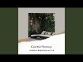 Celestial Harmony
